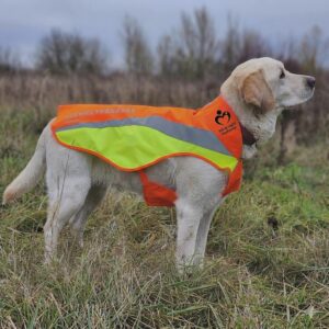 Adomány a mentőkutyáknak